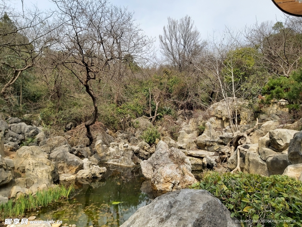 假山树木风景