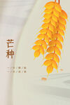 芒种