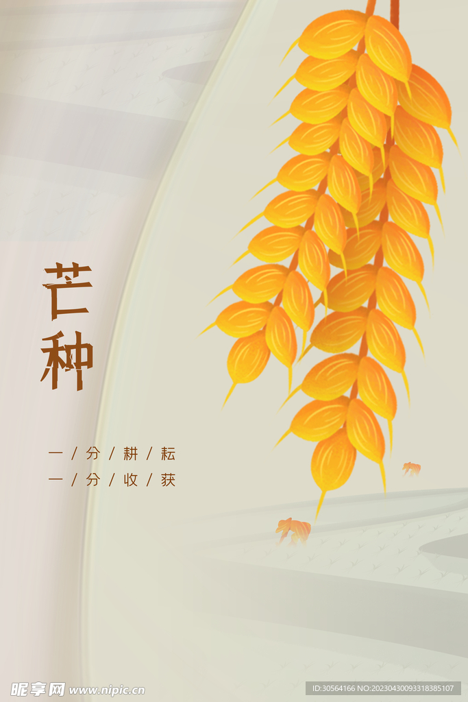芒种