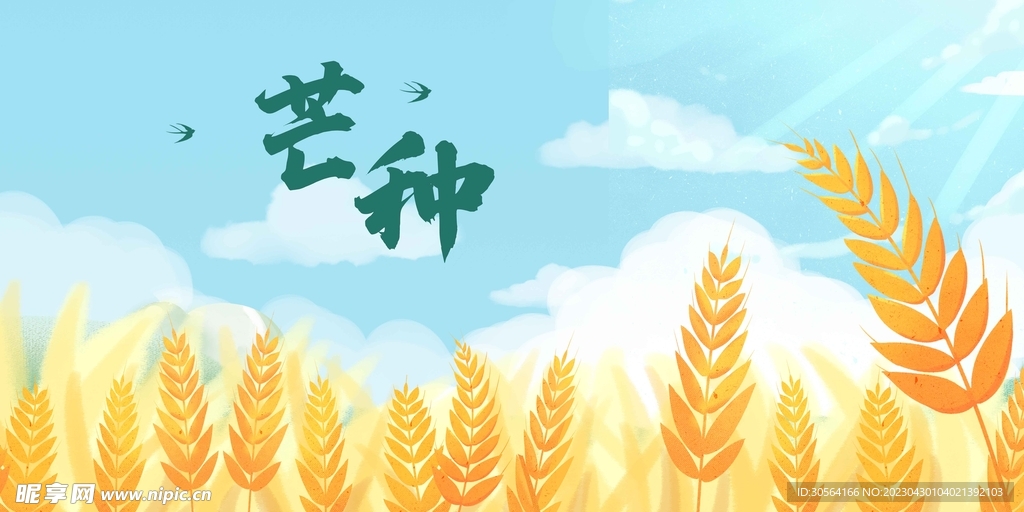 芒种