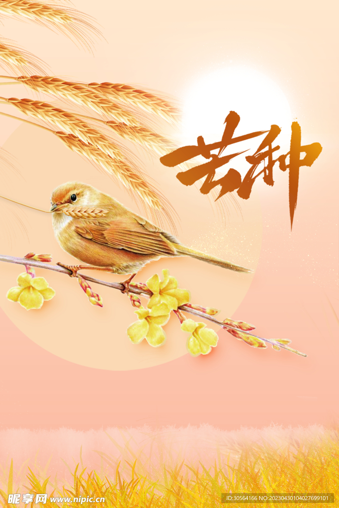 芒种