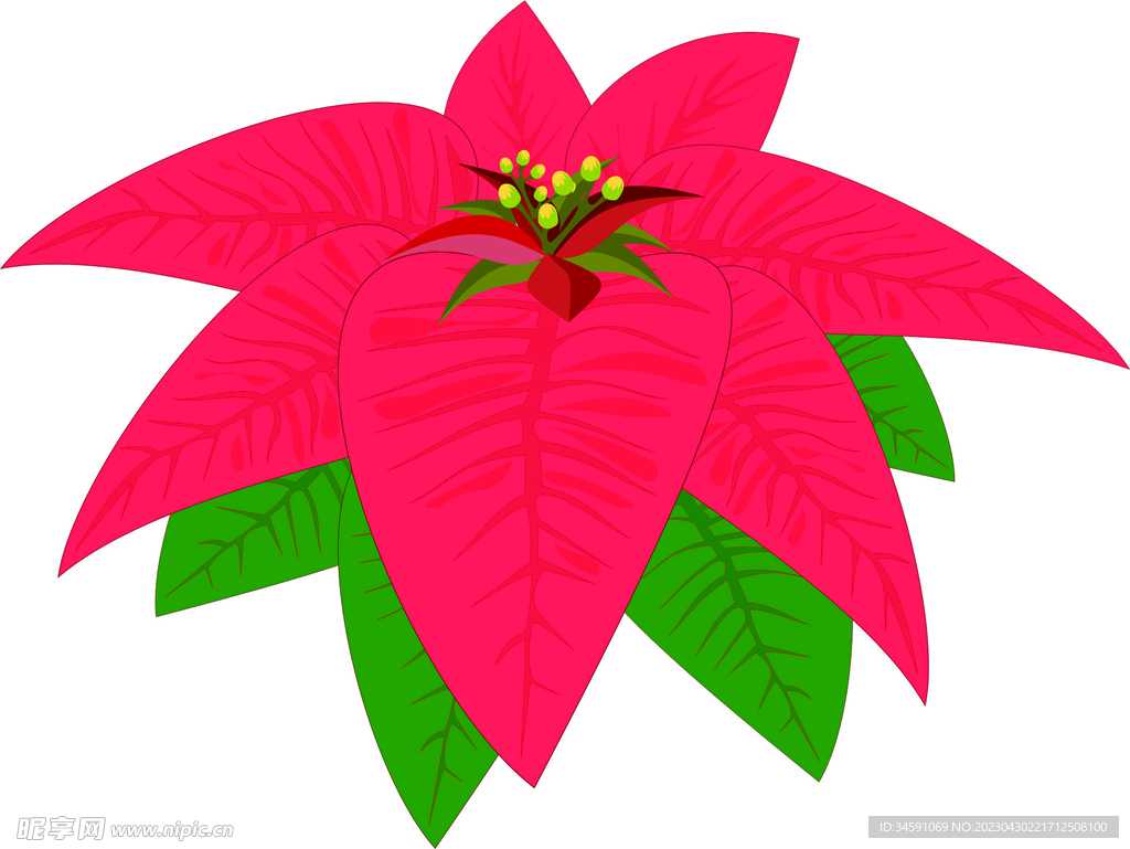 花