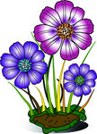 花