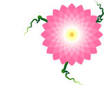 花