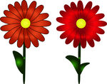 花