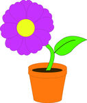 花