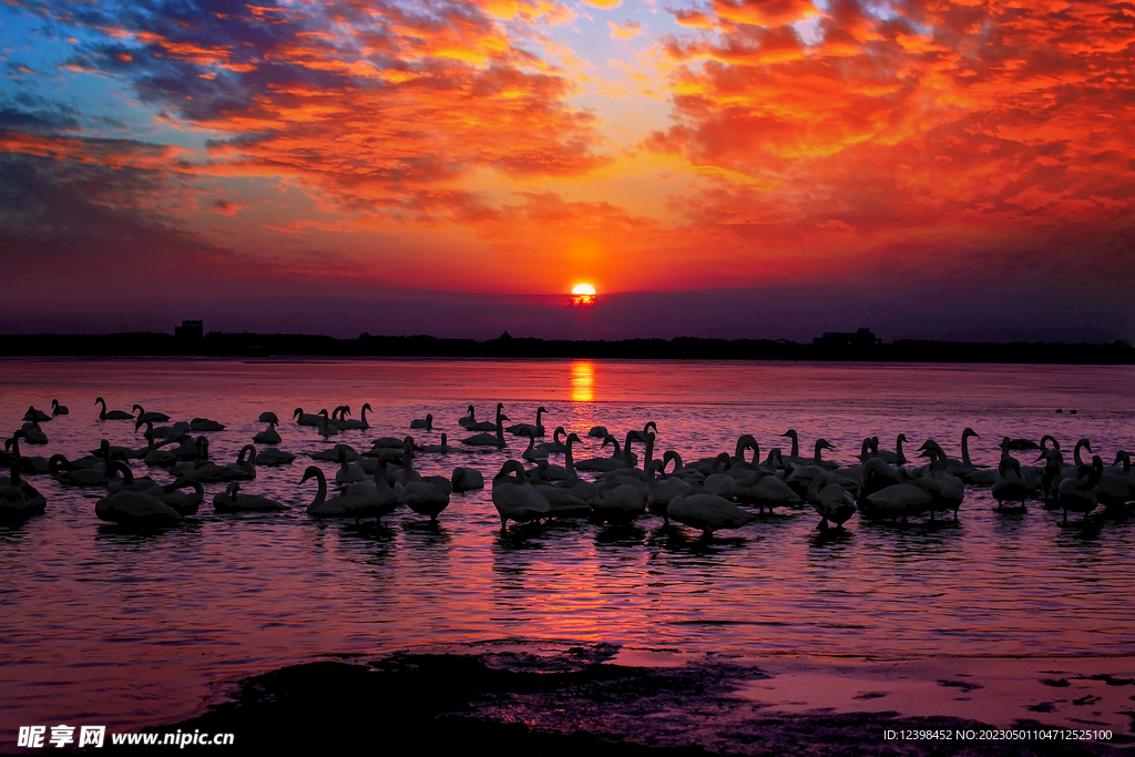 夕阳美景