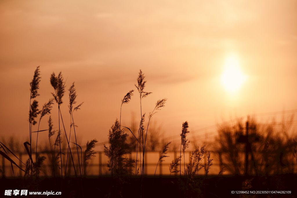 夕阳美景