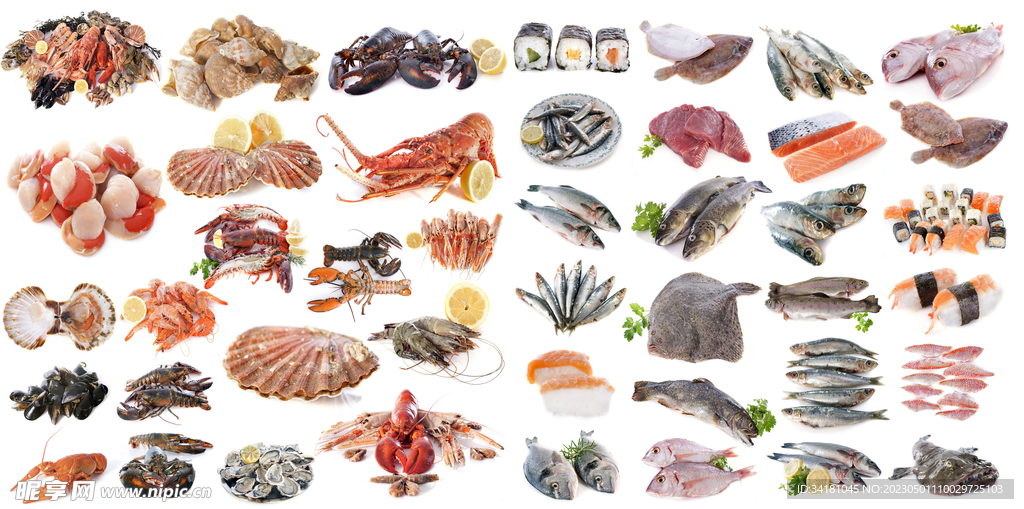 海鲜 鱼类和贝类