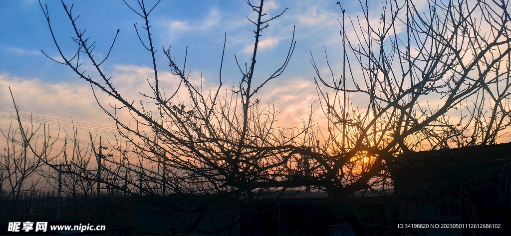 树枝摄影图__自然风景_自然景观_摄影图库_昵图网