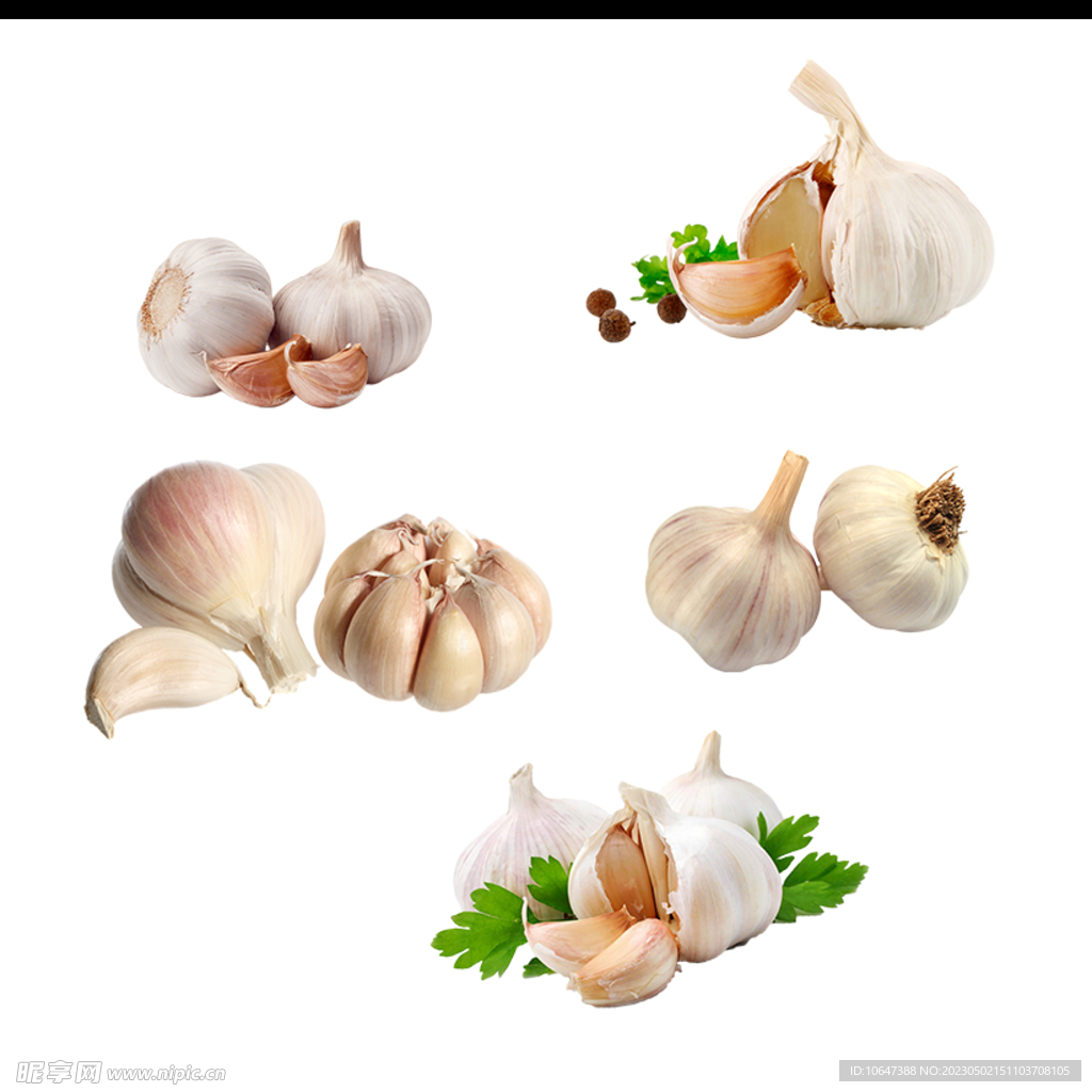 蒜