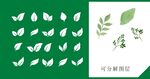 叶子