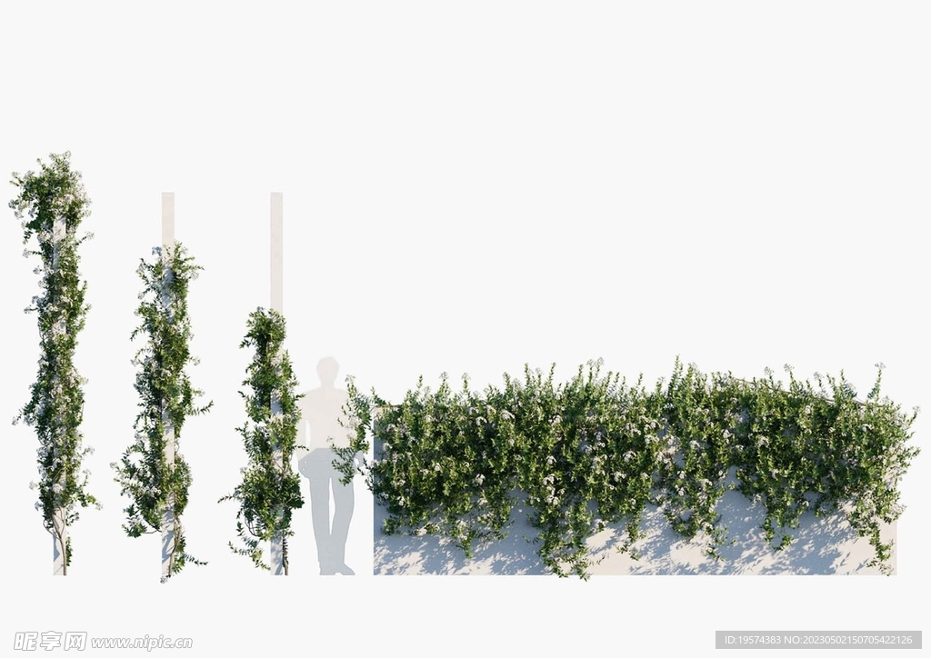  C4D模型 绿色植物 