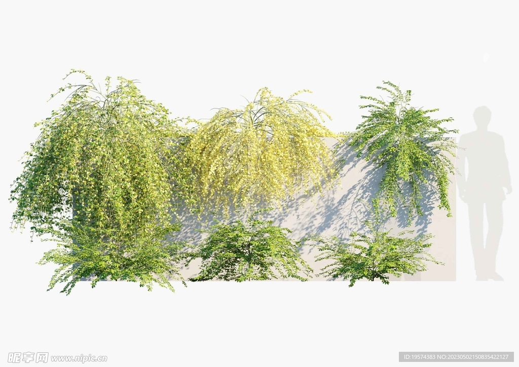  C4D模型 绿色植物  
