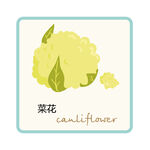 菜花  