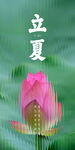 立夏