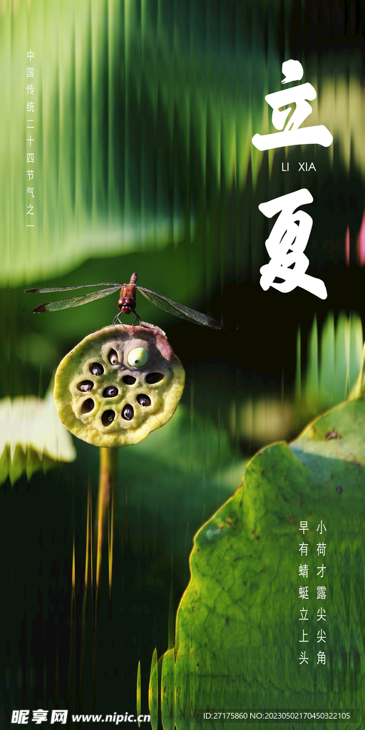 立夏