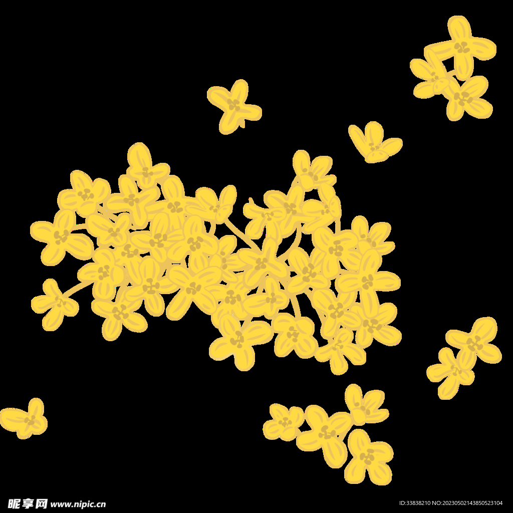  桂花