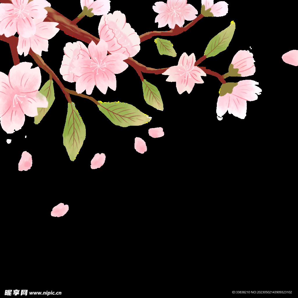 樱花
