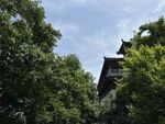 龟山游