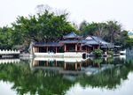 西湖建筑景观特写    