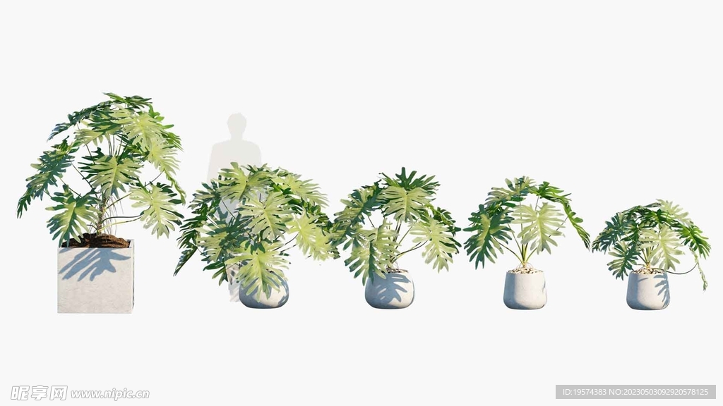 C4D模型 绿色植物  