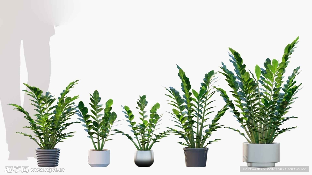  C4D模型 绿色植物 