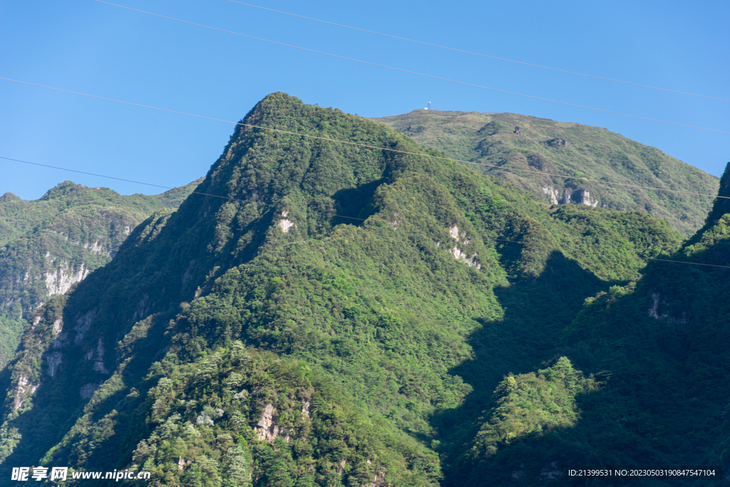 青山