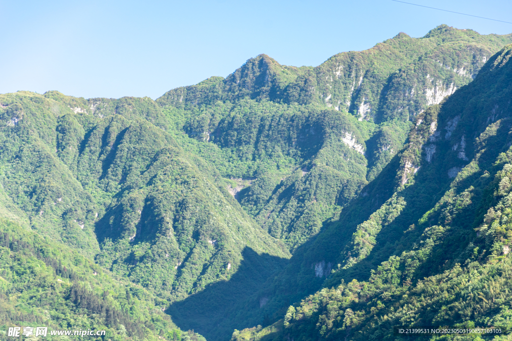 青山