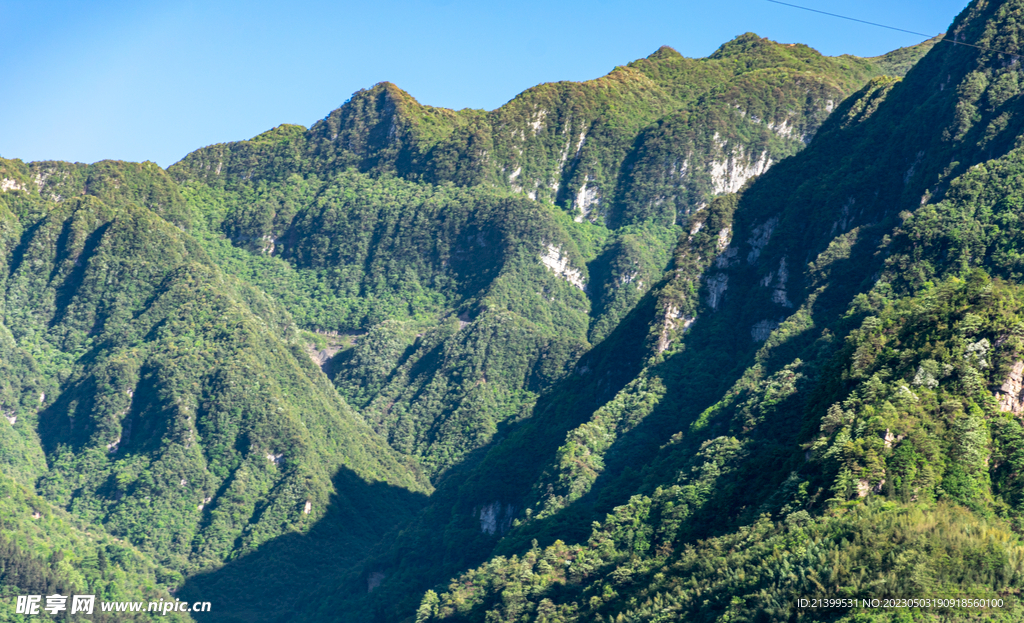 青山