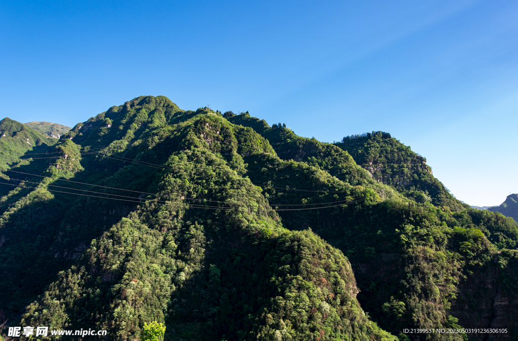 青山