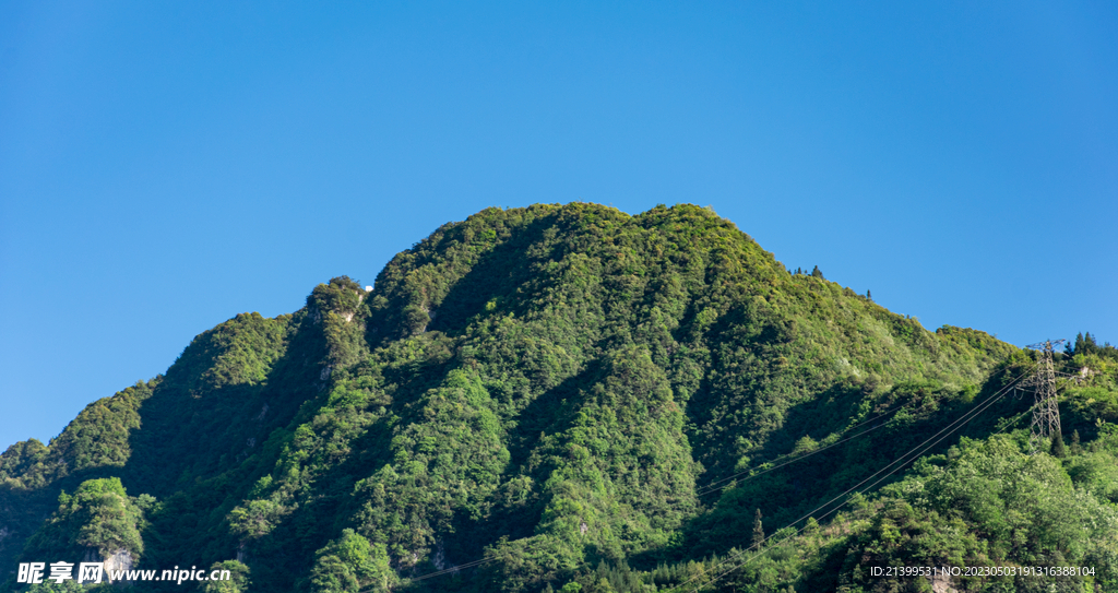 青山