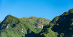 青山