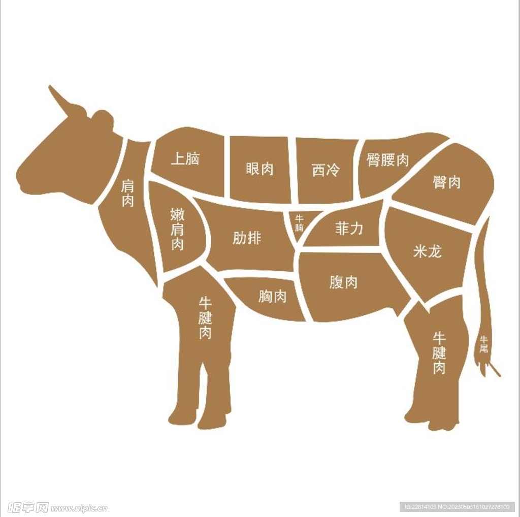 牛肉部位分割图片