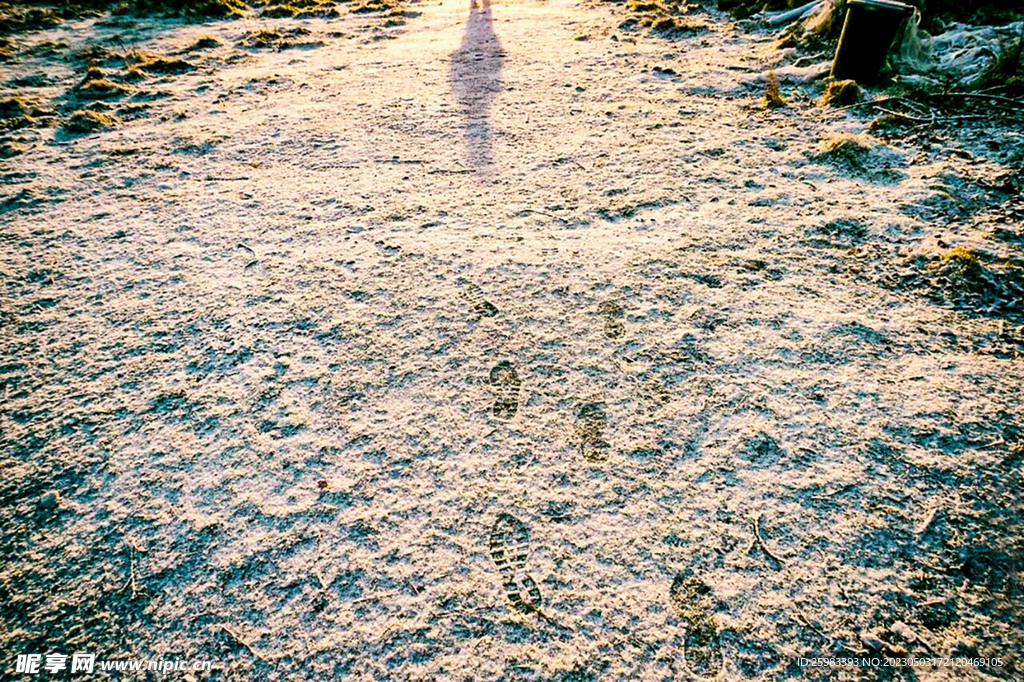 雪地独影