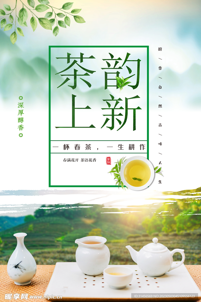 新茶上高