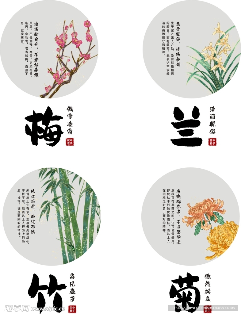 梅兰君竹