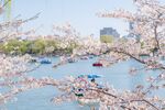 玉渊潭湖