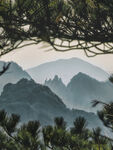 山