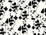 黑花