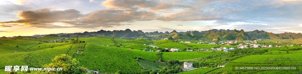 山村茶园