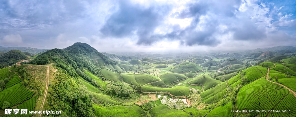 茶山风光