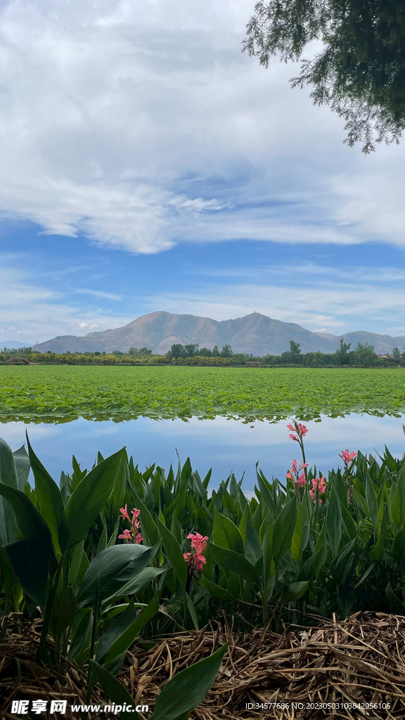 山水之景