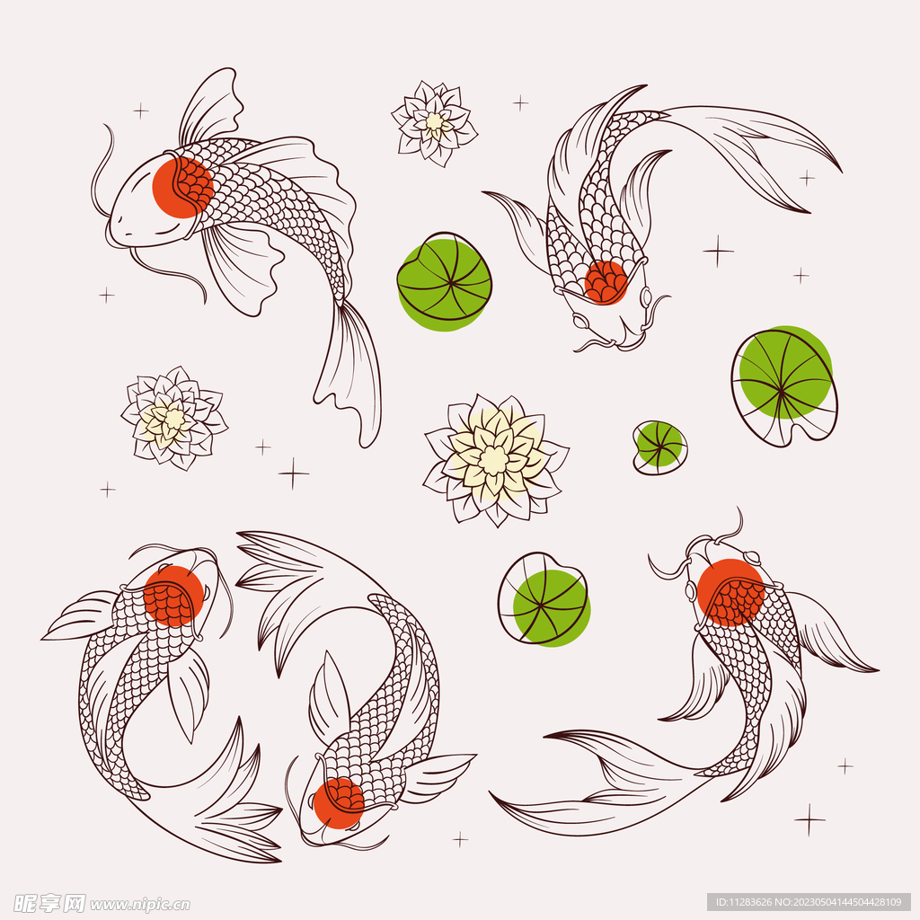 锦鲤插画
