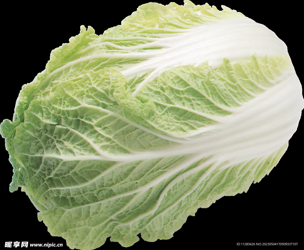 白菜免扣素材