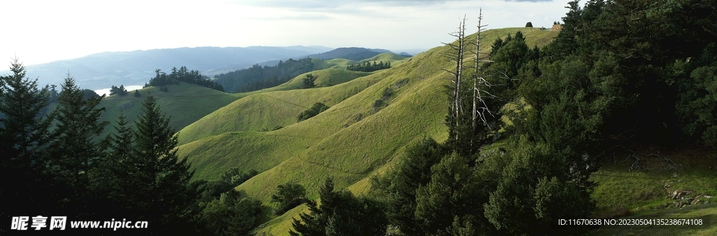 山景