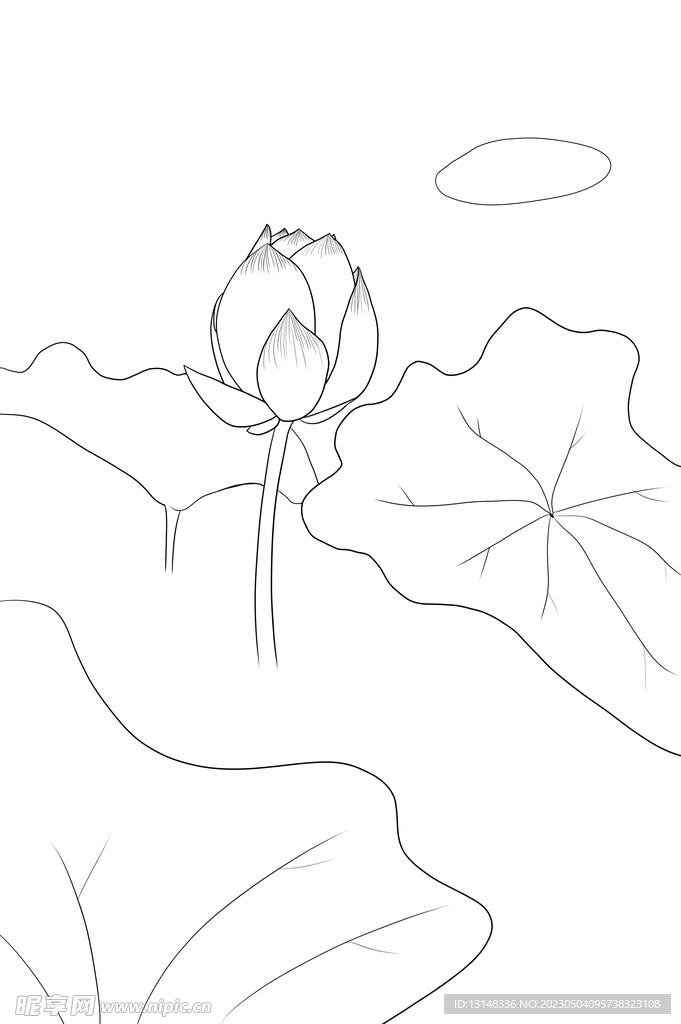 荷花