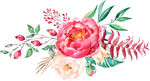 花枝 