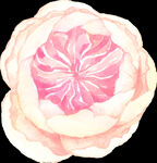 花环 