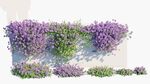 C4D模型 绿色植物 